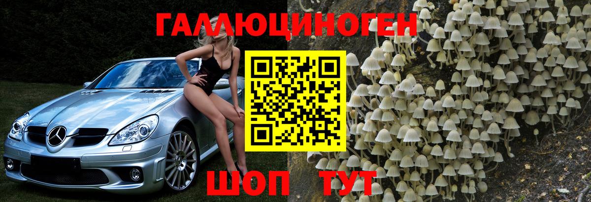 Ковров  сколько стоит  Вход с VPN  Галлюциногенные грибы Psilocybe 