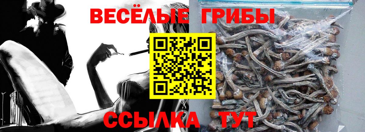 Галлюциногенные грибы MAGIC MUSHROOMS Ковров